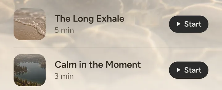 Flare Support in the app: saved short recordings, The Long Exhale and Calm in the Moment, each with a Start button