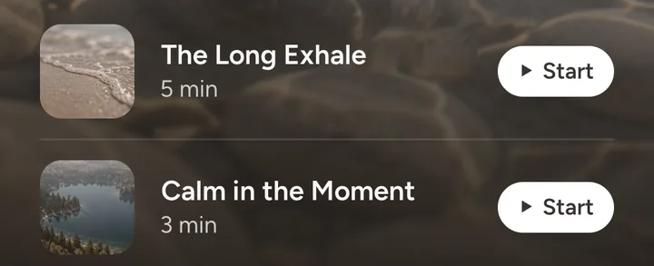 Flare Support in the app: saved short recordings, The Long Exhale and Calm in the Moment, each with a Start button
